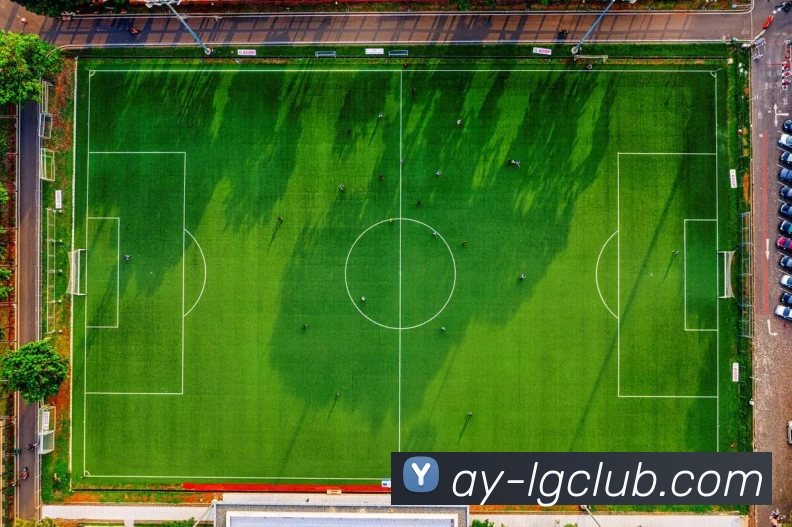 老哥俱乐部官网平台生态图