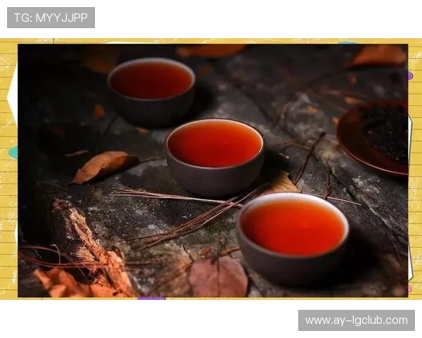 围绕德甲主题打造个性十足的足球车贴潮流文化创意全面探索指南集